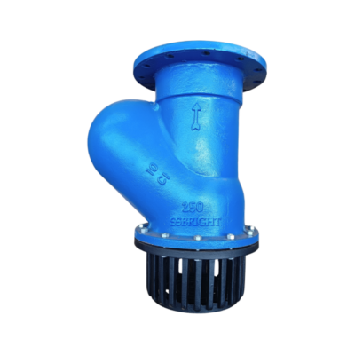 FOOT VALVE