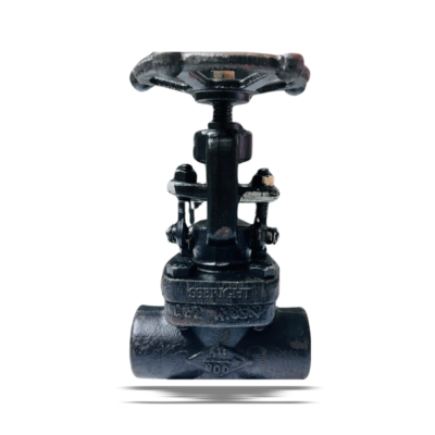 FORGE STEEL GLOBE VALVE