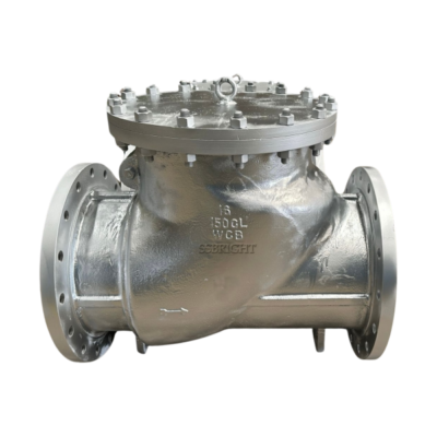 swing check valve #150