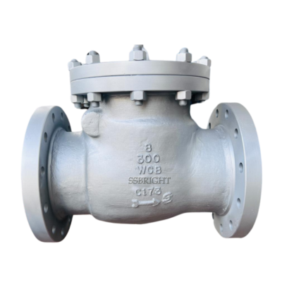 swing check valve #300 2