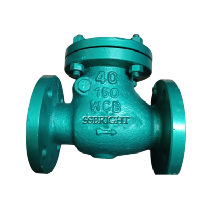 swing check valve